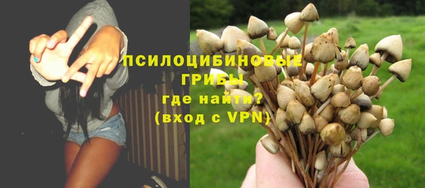 apvp Балабаново